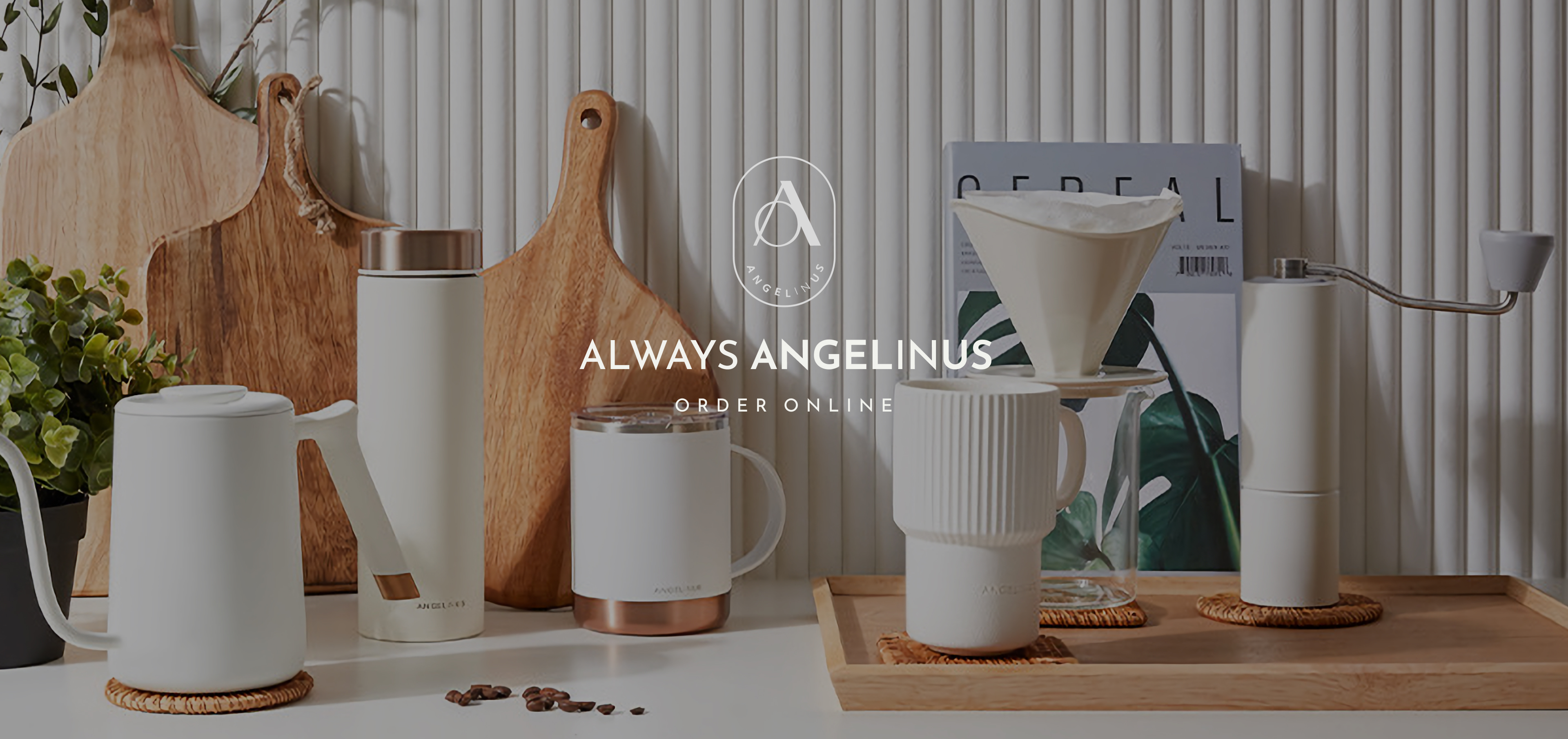 always angelinus order online