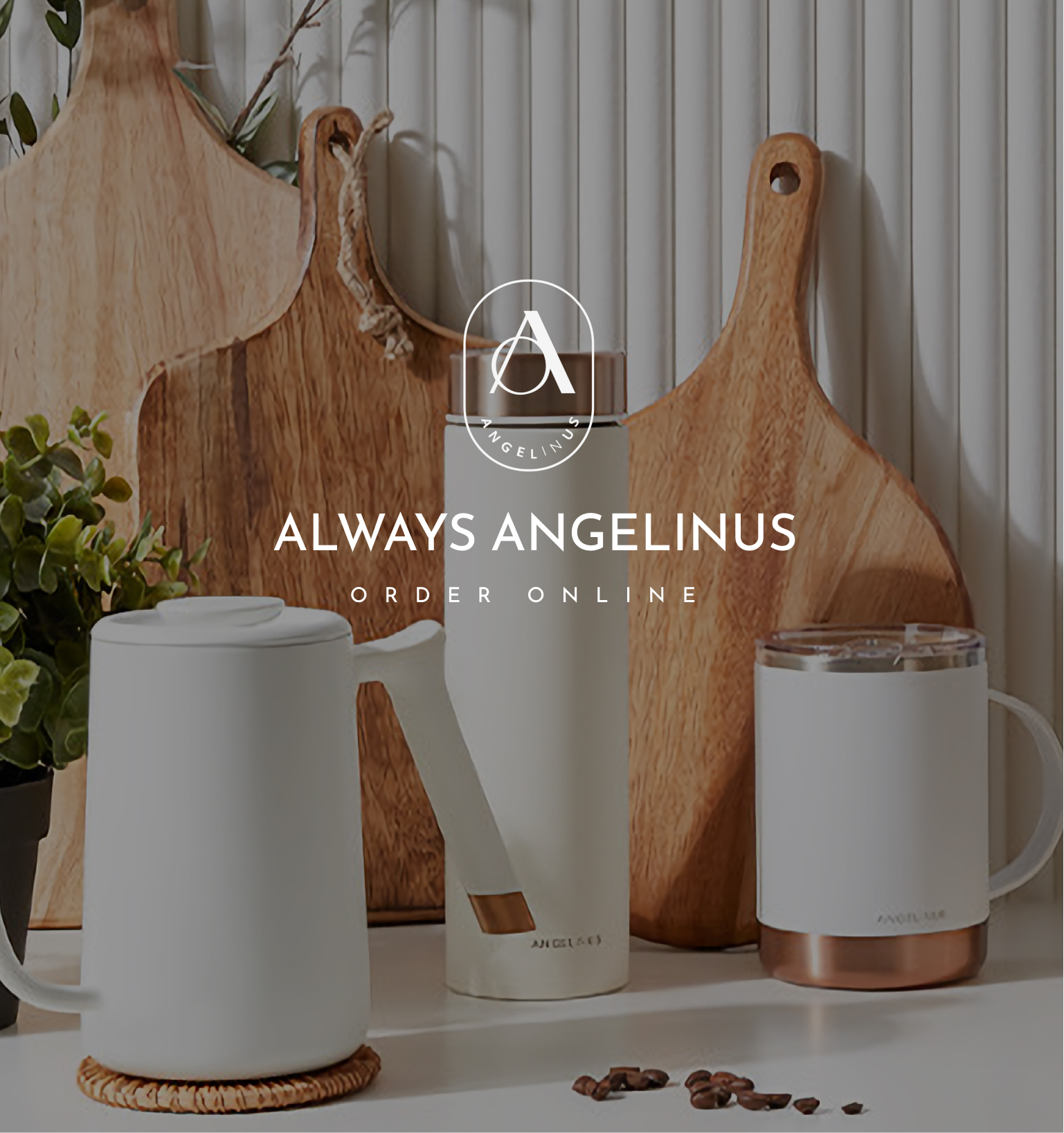 always angelinus order online