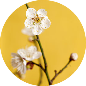 계절별