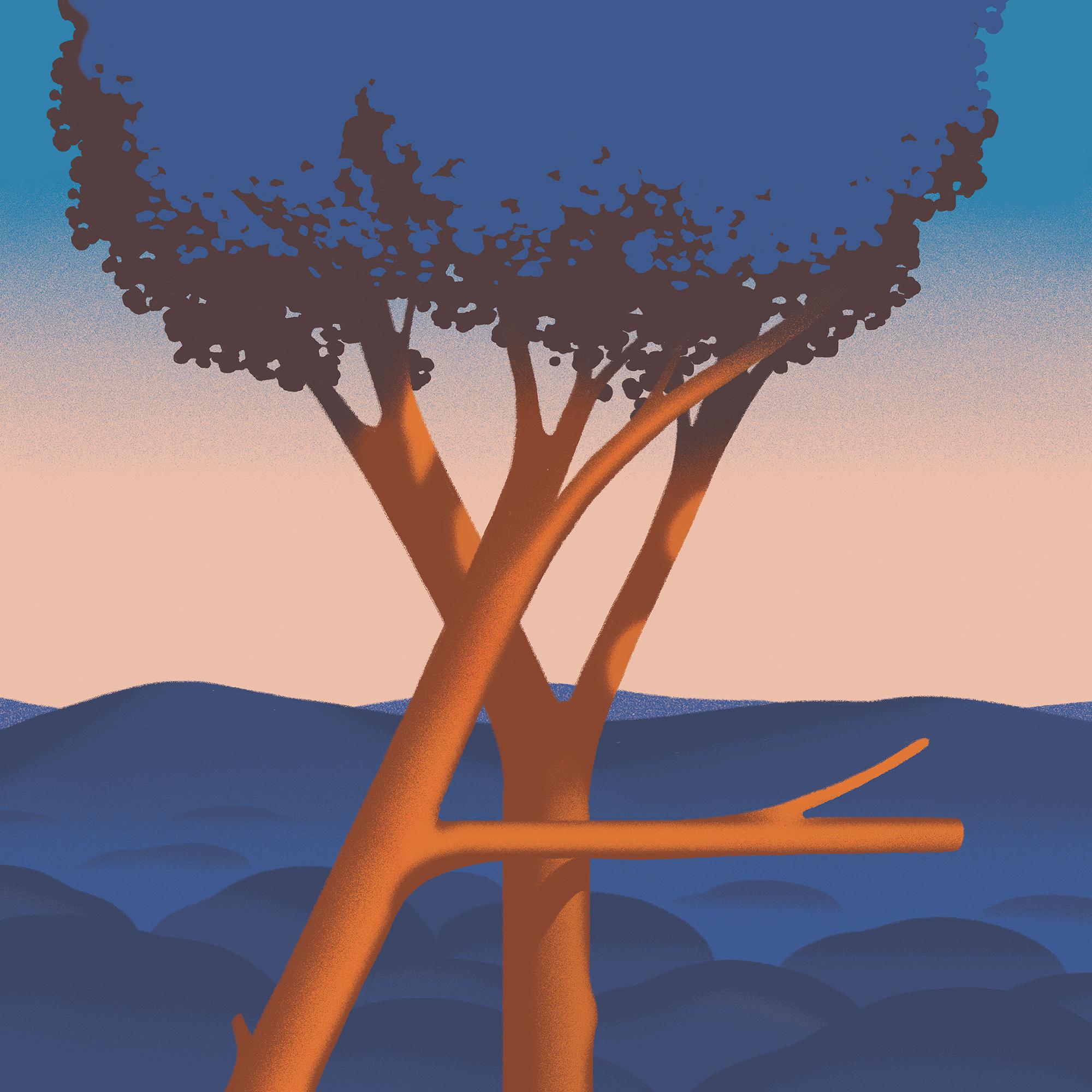Free HTML5 Templates by gettemplates.co