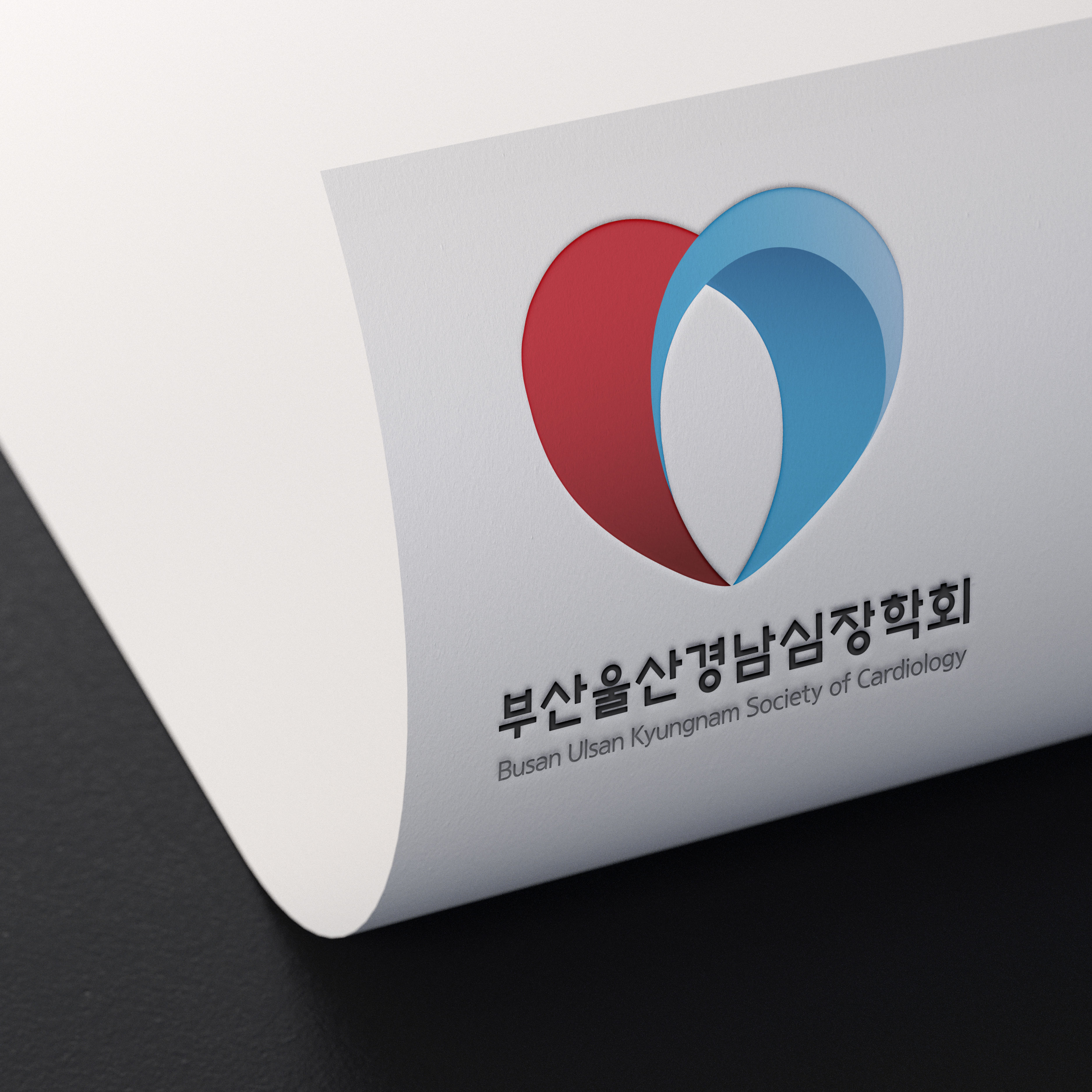 부산울산경남 심장학회 메인 이미지